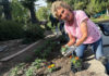 flower planting