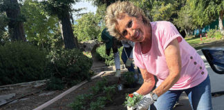flower planting