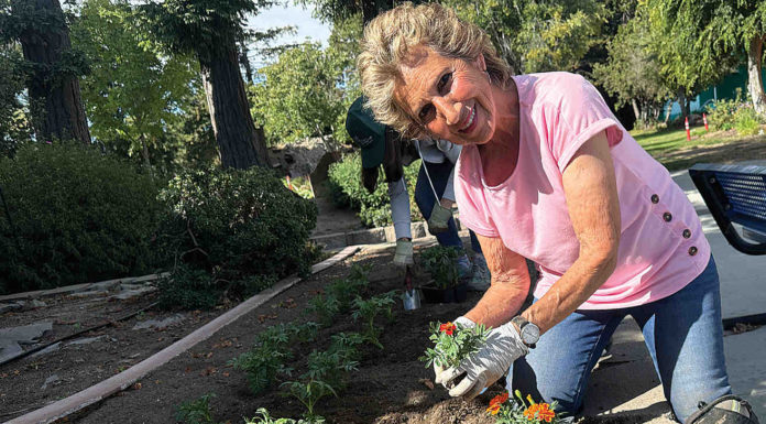 flower planting
