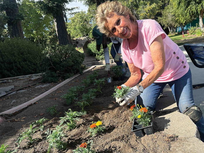 flower planting