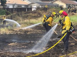 firefighters douse a grass fire on the 300 block of Amesti Road Friday.