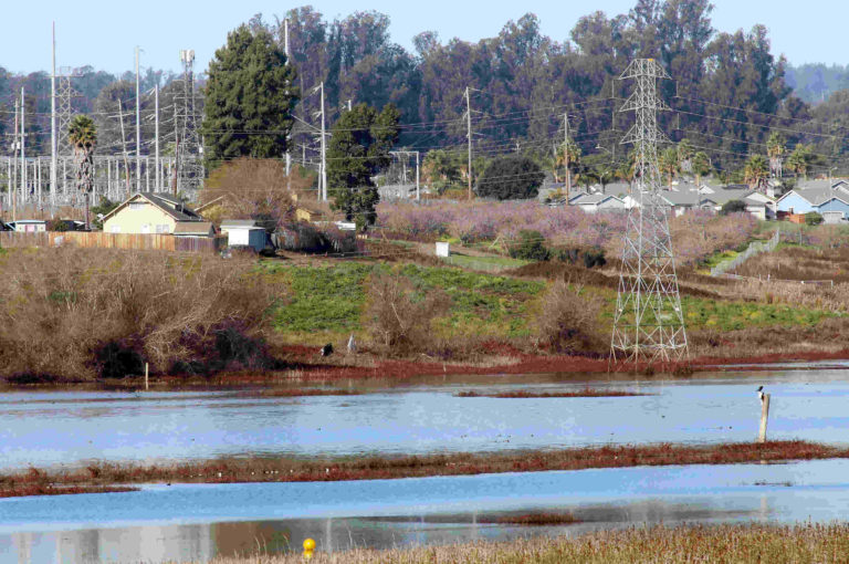 Residents oppose new battery storage facilities