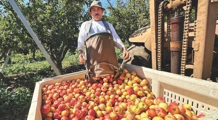 Back to the Land: Open Farm Tours approaching