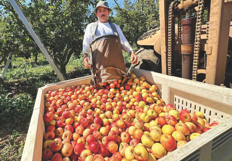 Back to the Land: Open Farm Tours approaching