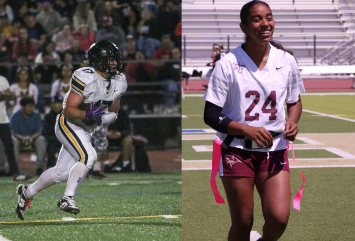 Martinez and Whitmeyer - AOW