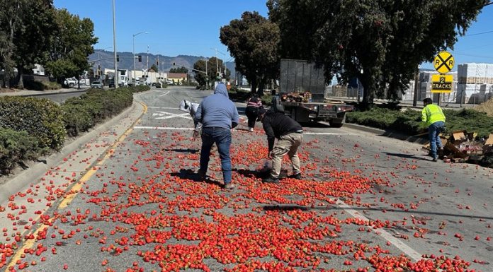 Photo story: Strawberries snarls traffic