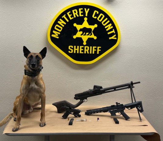 K9 officer helps in arrest of felon with guns, drugs