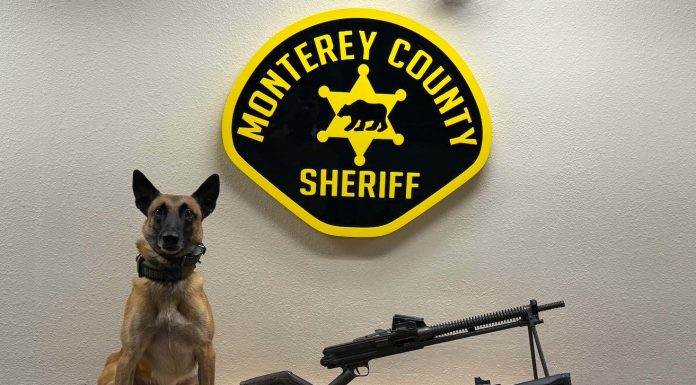 K9 officer helps in arrest of felon with guns, drugs