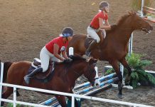 ‘People simply loved it:’ County fair wraps up These women take part in the pair jumping competition in the horse arena.