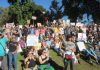 Thousands attend No Kings rallies