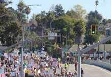 Thousands attend No Kings rallies