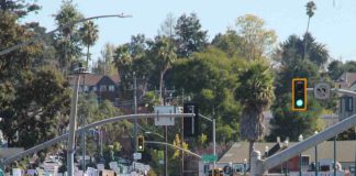 Thousands attend No Kings rallies