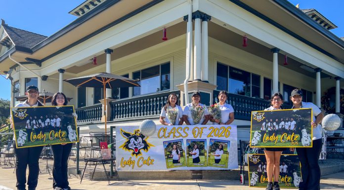 Perfect swing: ‘Catz finish with 14-0 record in league play | Girls golf