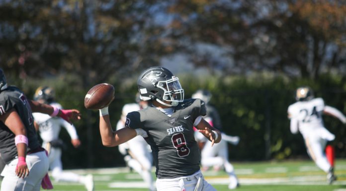 St. Francis’ Madrigal tosses four TDs en route to victory | High school football roundup