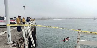 One dead after van plunges off Santa Cruz Wharf