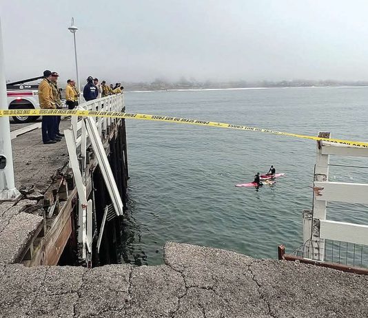 One dead after van plunges off Santa Cruz Wharf