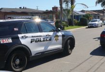 Photo story: Teen arrested for bringing gun to school