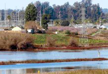 Supervisor Felipe Hernandez to host BESS town hall