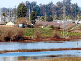 Laird bill will boost safety for battery storage facilities