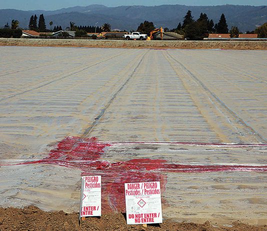 Monterey County feels brunt of dangerous pesticide use, study shows