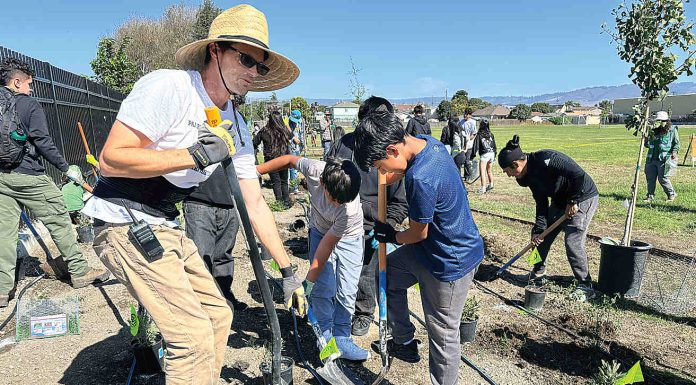 A ‘Celebration of Trees’ Pajaro Middle School