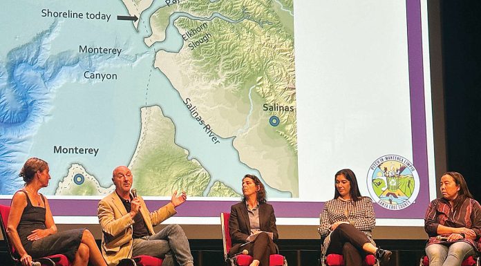 An ocean view, pollution included