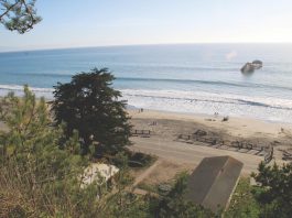 Trump’s offshore drilling plans slammed as ‘reckless’