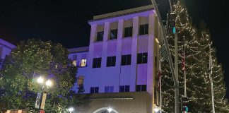 Photo story: New lights illuminate downtown