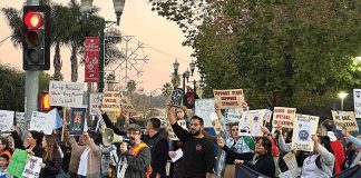 Trustees cut school employee, teacher positions