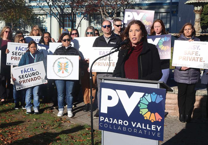 Paj Vall Collaborative