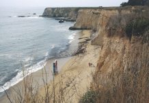 Suspected shark bite victim’s body recovered