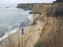 Suspected shark bite victim’s body recovered