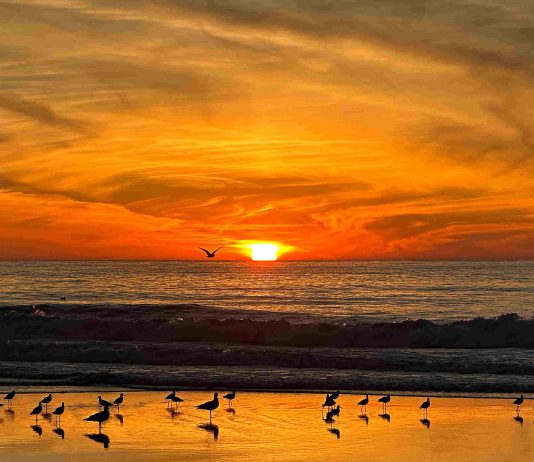 A look back on notable stories of 2025