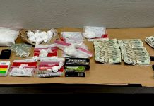 K9 helps nab suspect, find drugs, cash, gun