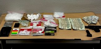 K9 helps nab suspect, find drugs, cash, gun