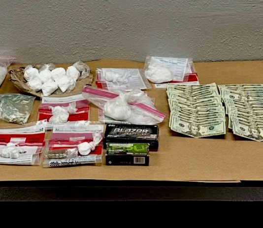 K9 helps nab suspect, find drugs, cash, gun