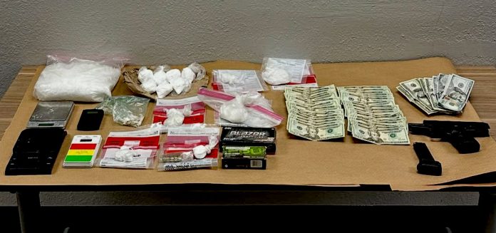 gun drug bust, pajaro