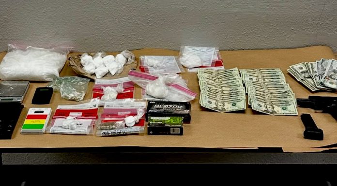 K9 helps nab suspect, find drugs, cash, gun