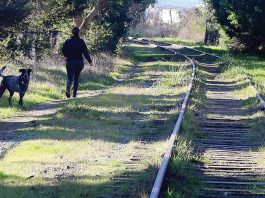 Interim trail will cover rails, for now