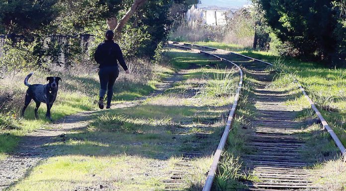 Interim trail will cover rails, for now