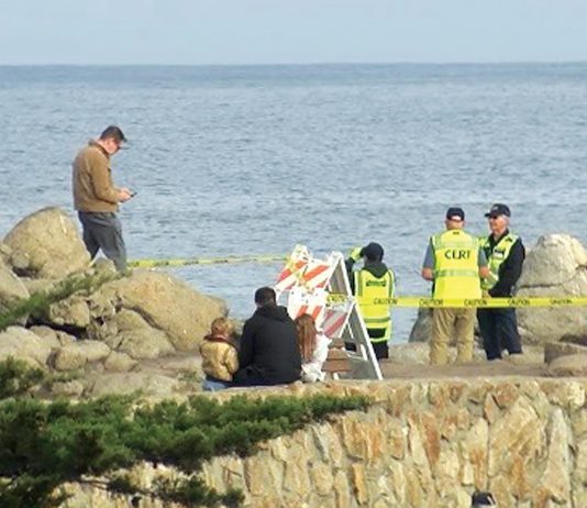 Suspected shark bite victim’s body recovered