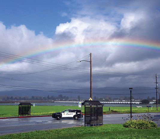 Powerful storms clobber Central Coast