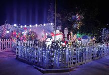 Photo story: A lighted Watsonville
