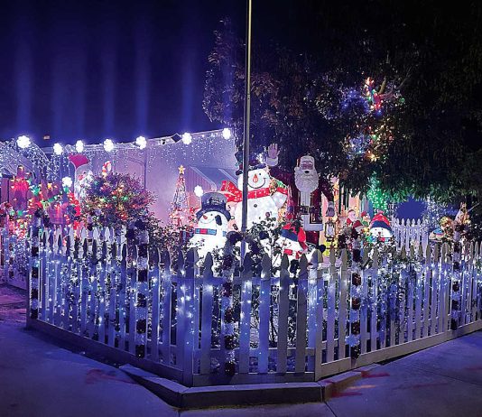 Photo story: A lighted Watsonville