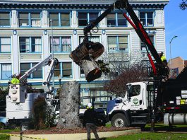 Watsonville Plaza project moves ahead