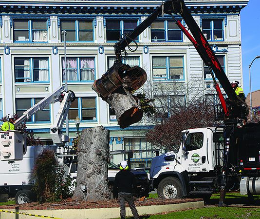 Watsonville Plaza project moves ahead