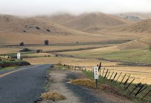 A road trip through California and Arizona, part 1