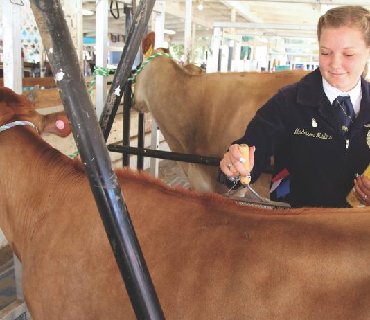 2026 Santa Cruz County Fair theme contest underway