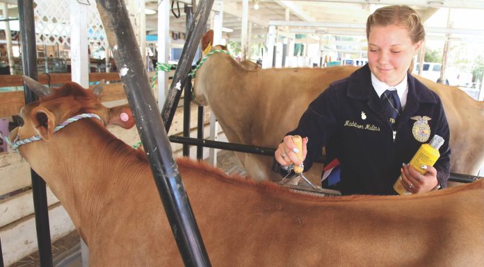 2026 Santa Cruz County Fair theme contest underway