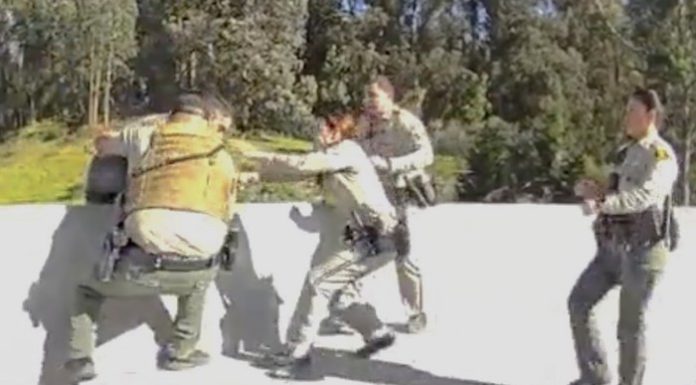 Deputies, CHP officers save suicidal man